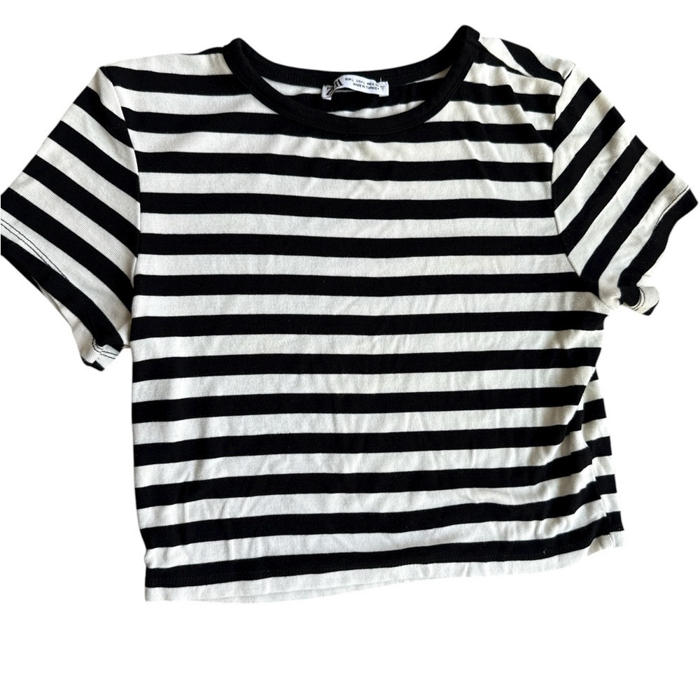 Zara stretch Black and White Striped Crop Top